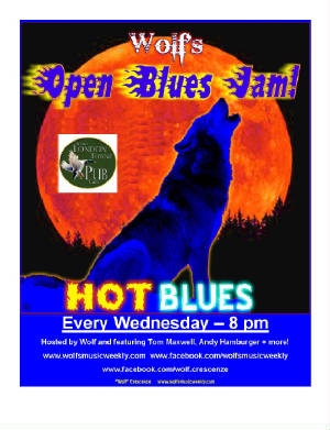 BluesJamspics/WolfsLonPubbluesjameveryWednesdaywithlogo.jpg